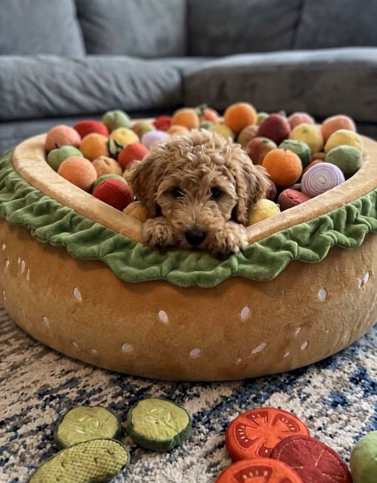 ChomperBed 3-pack burger dog bed